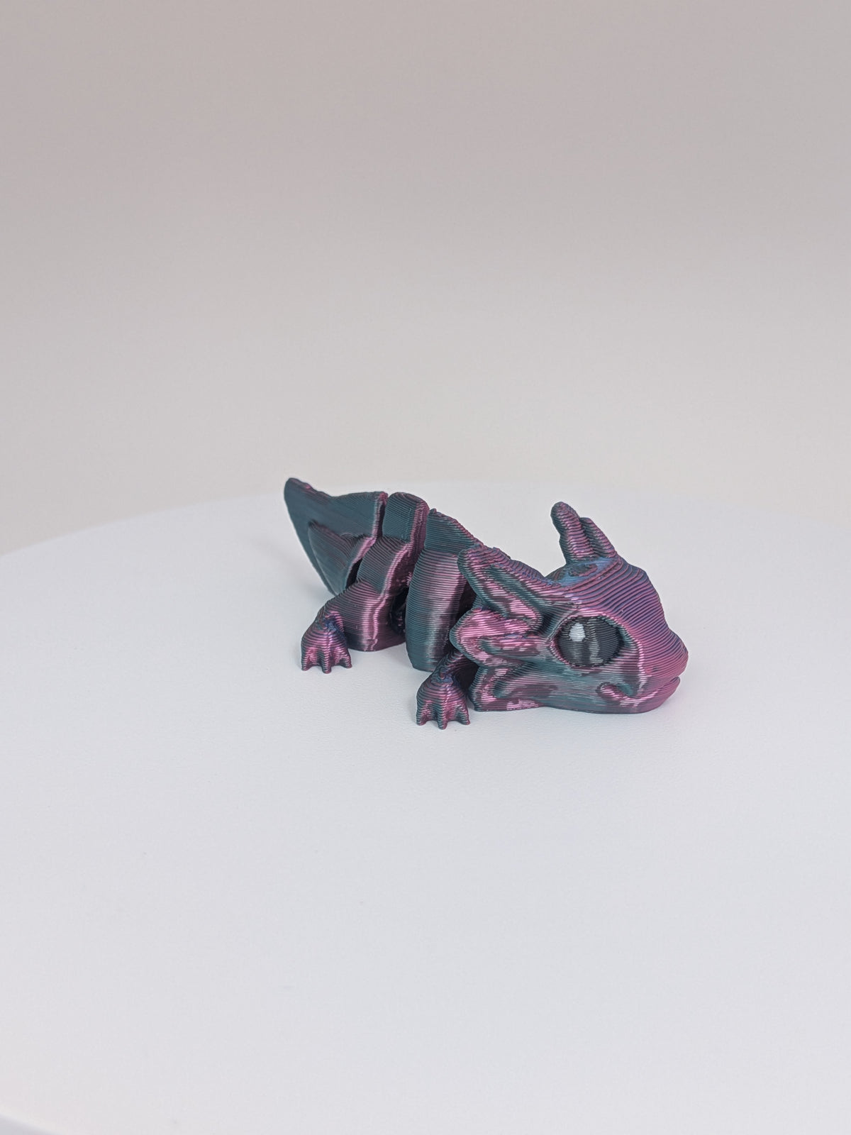 Axolotl Hatchling