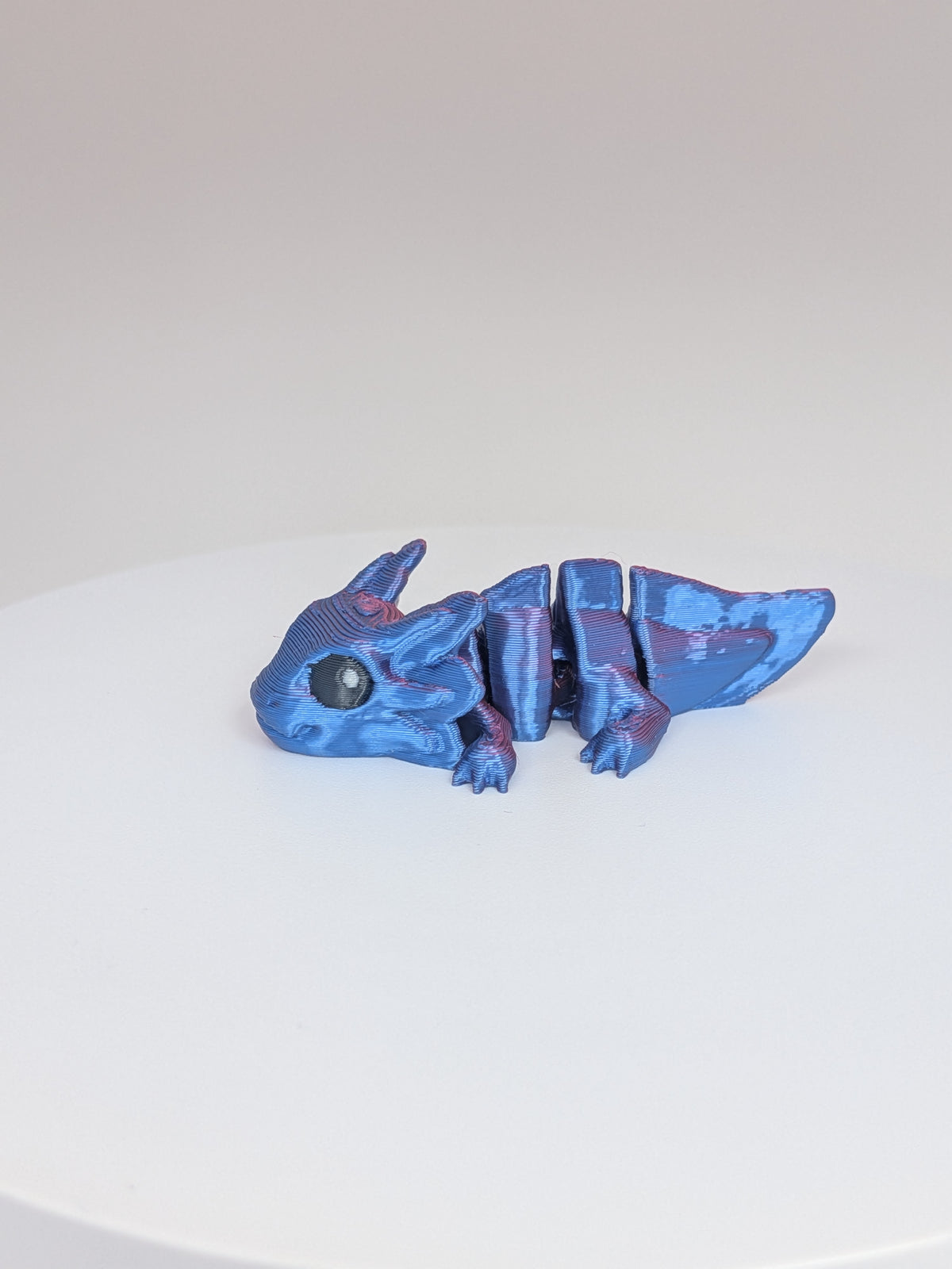 Axolotl Hatchling