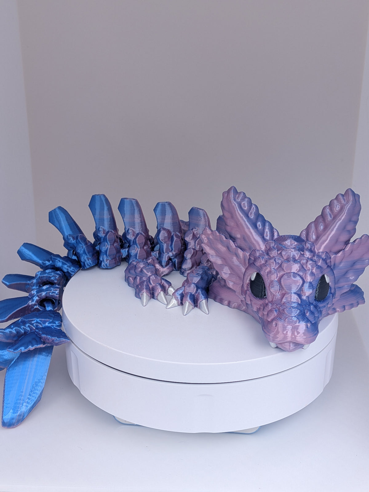 Baby Axolotl Dragon