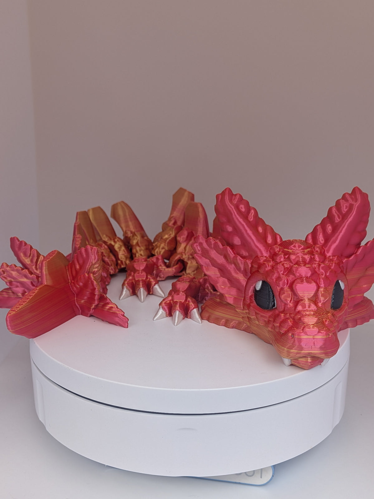 Baby Axolotl Dragon