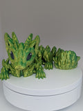 Baby Cat Dragon