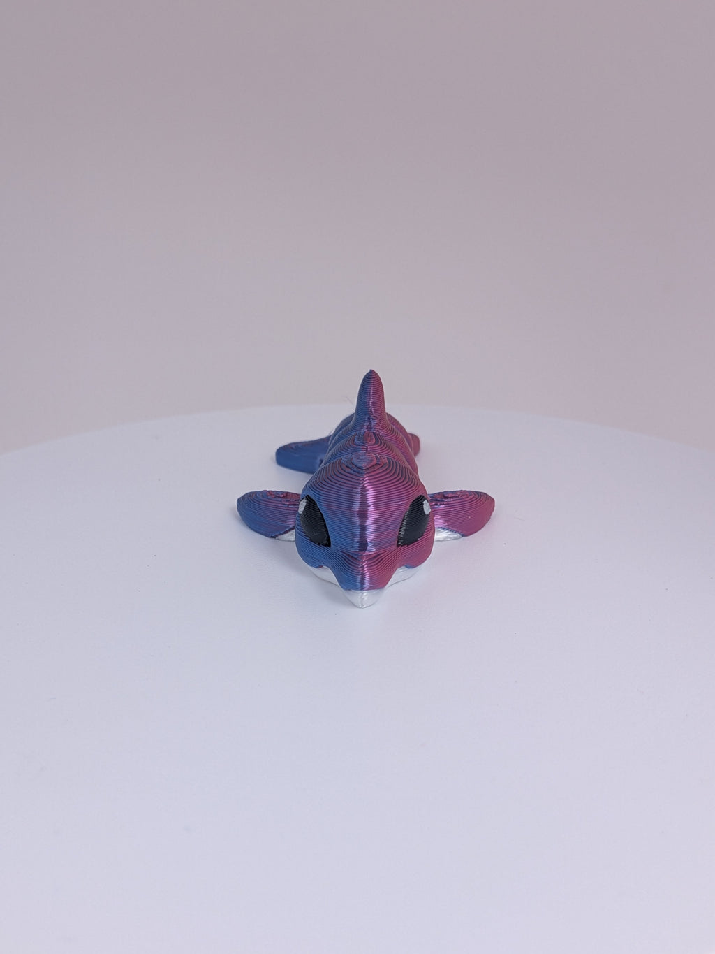 Dolphin Hatchling