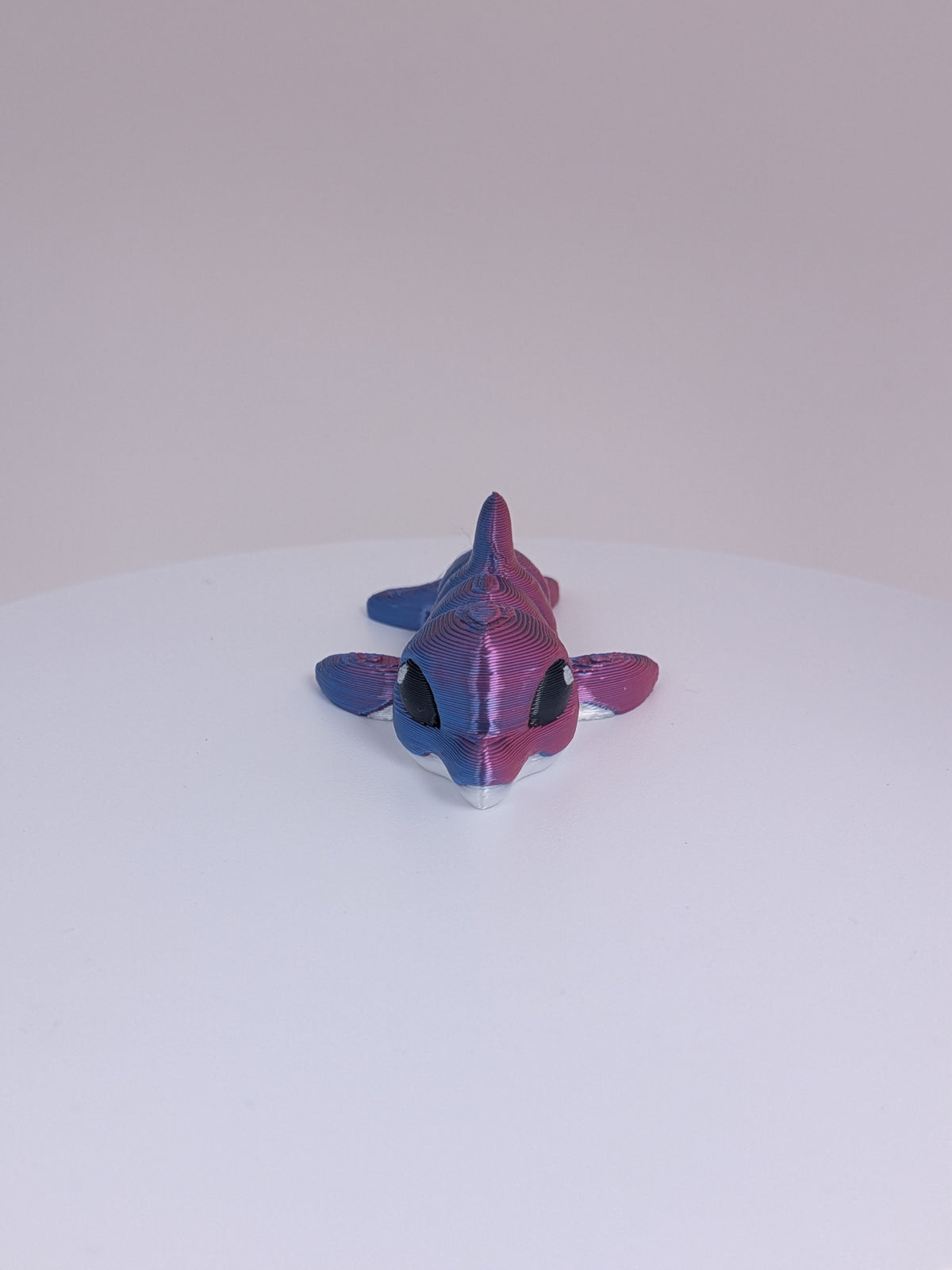 Dolphin Hatchling