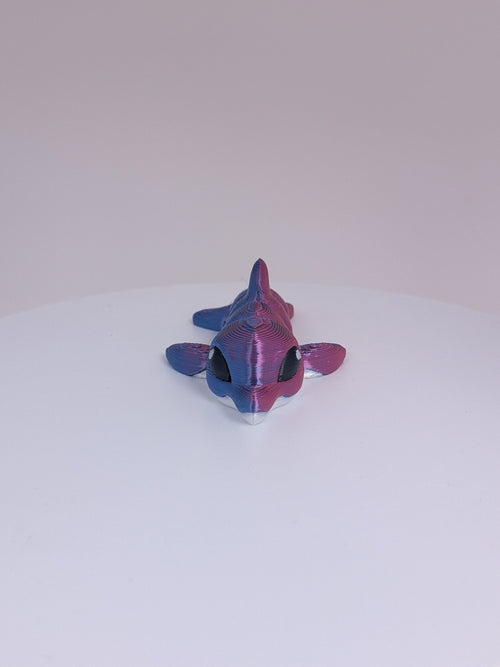 Dolphin Hatchling