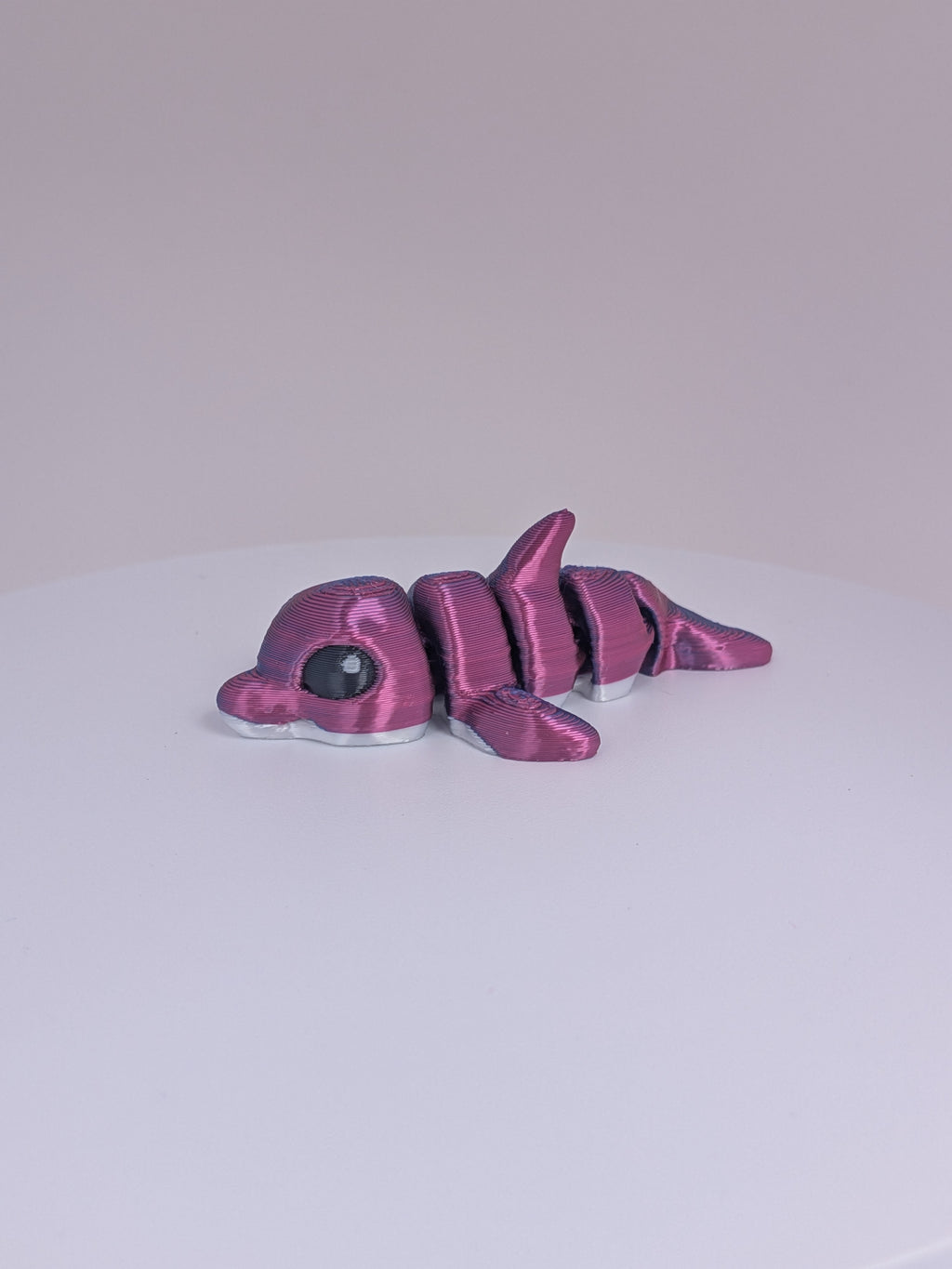 Dolphin Hatchling