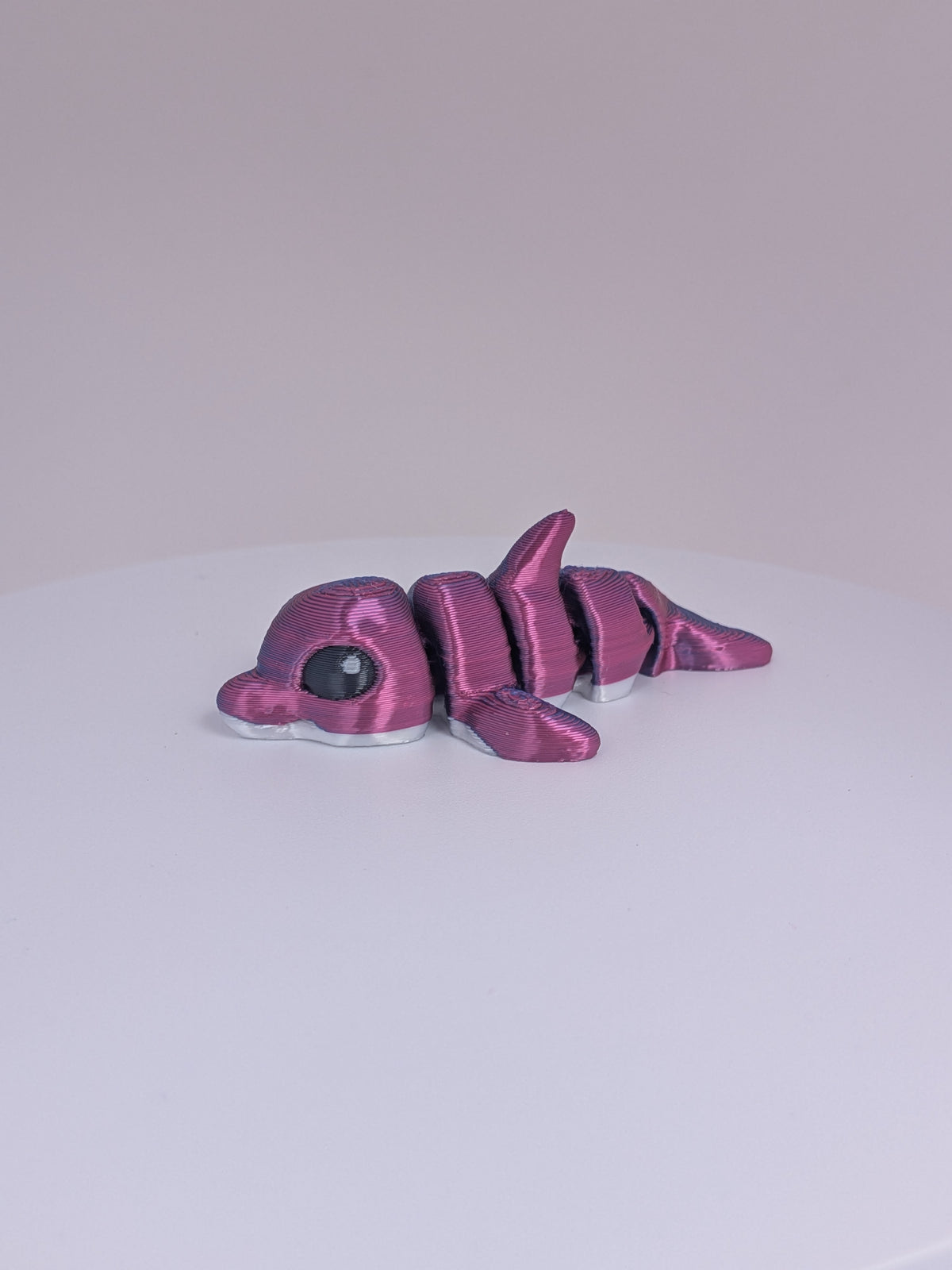 Dolphin Hatchling