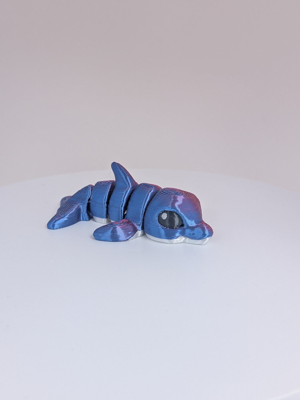 Dolphin Hatchling