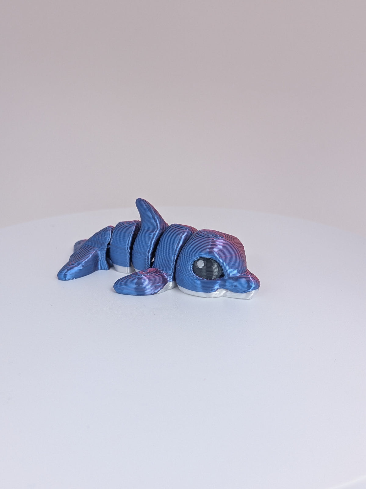 Dolphin Hatchling