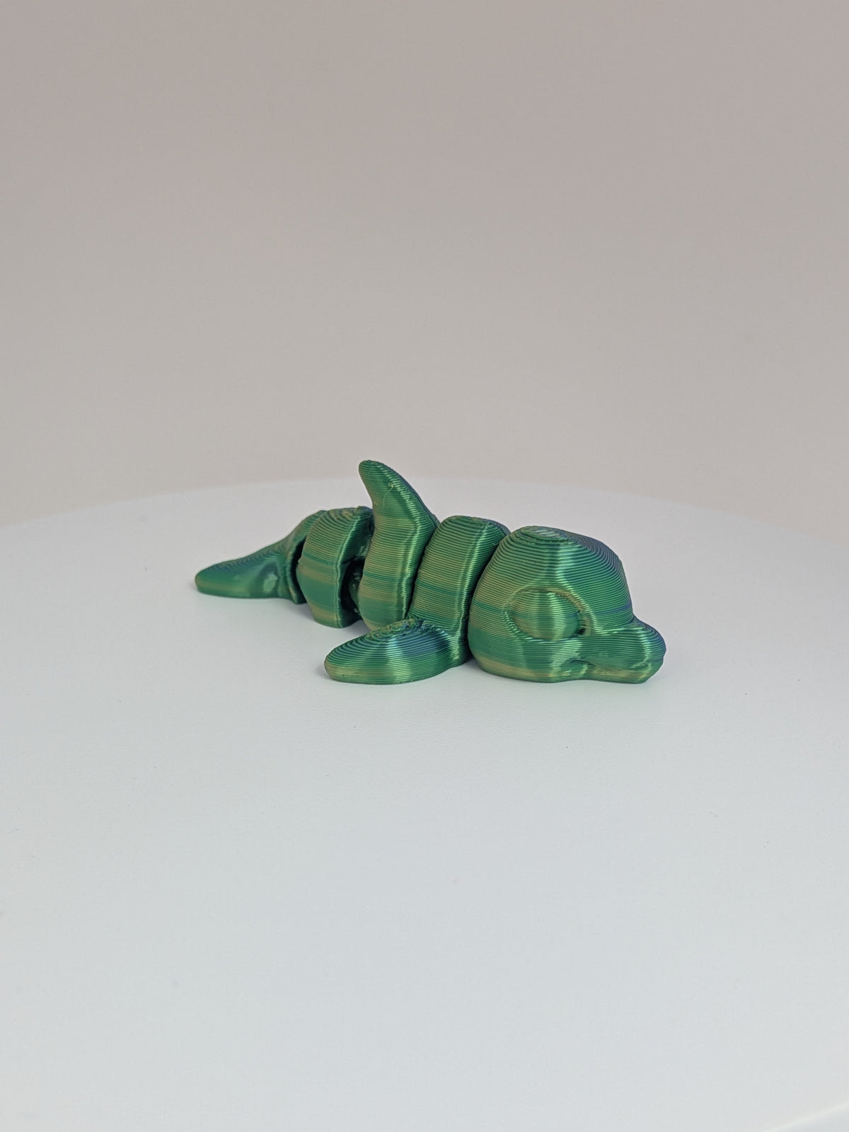 Dolphin Hatchling