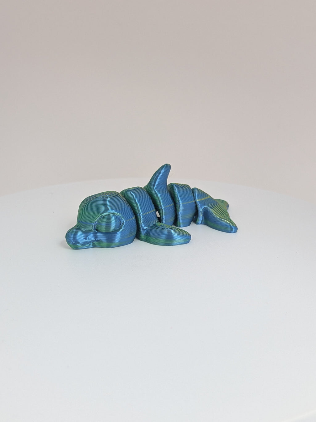Dolphin Hatchling