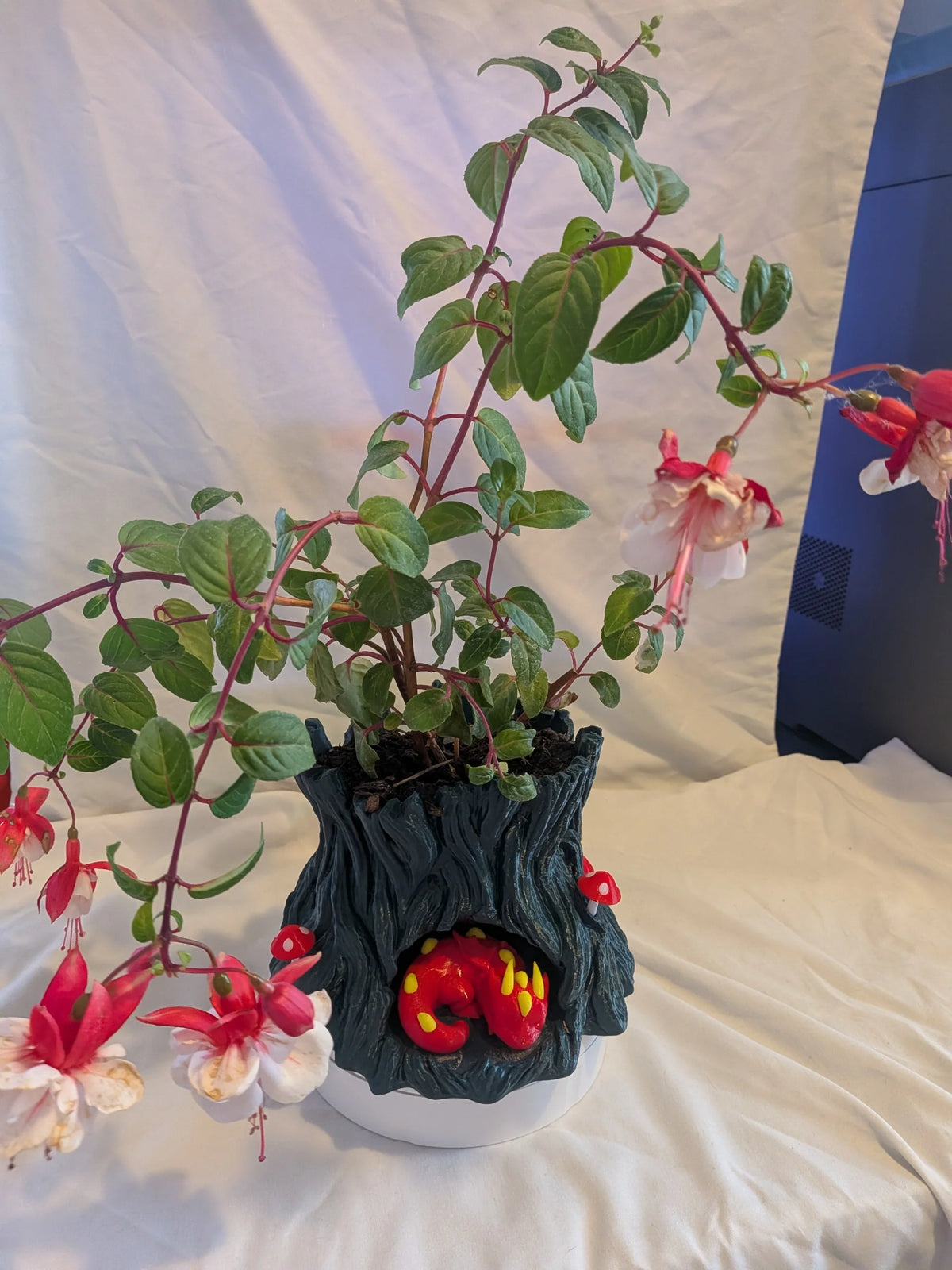 A fuchsia plant with green leaves and red-and-white flowers, potted in a dark tree-bark style planter with a red frog decoration, set against a draped white fabric backdrop.