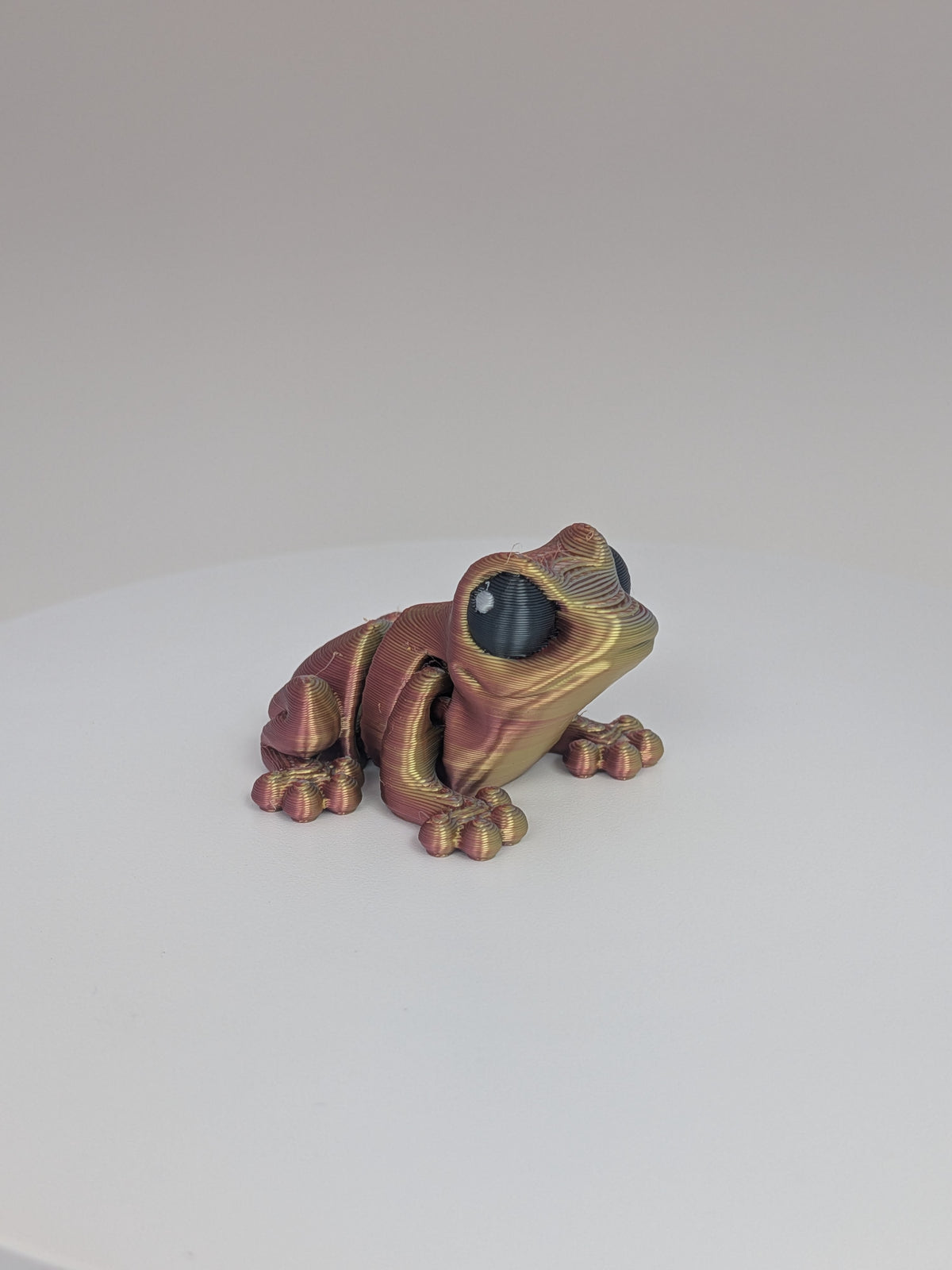 Frog Hatchling