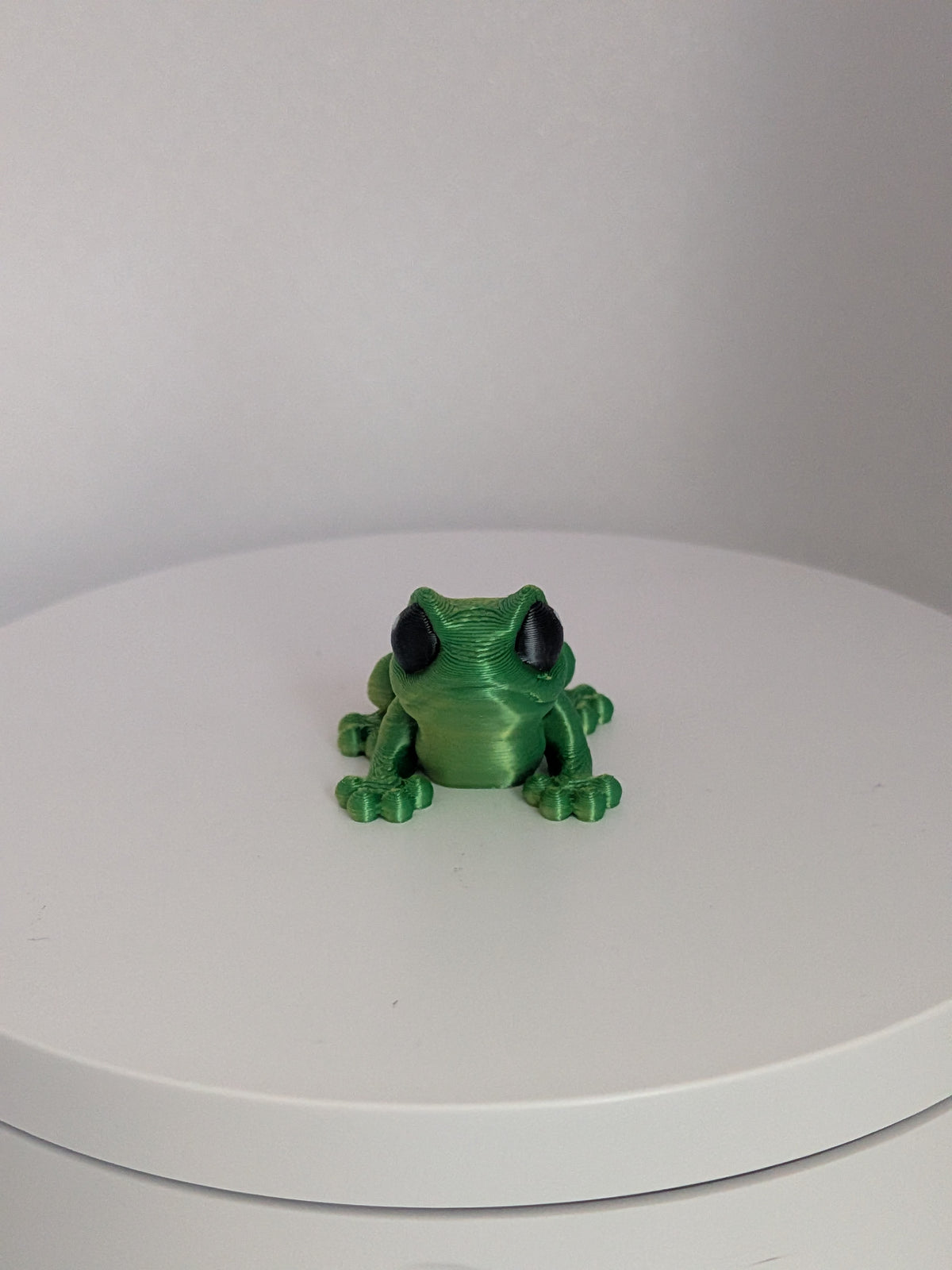 Frog Hatchling