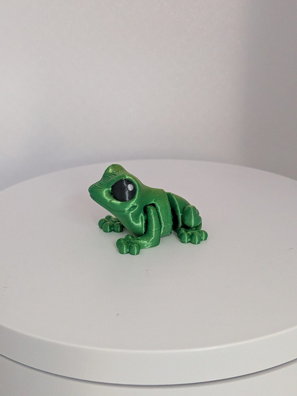 Frog Hatchling