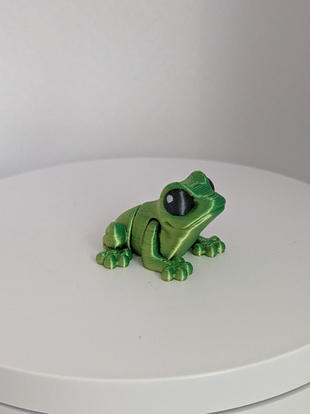 Frog Hatchling