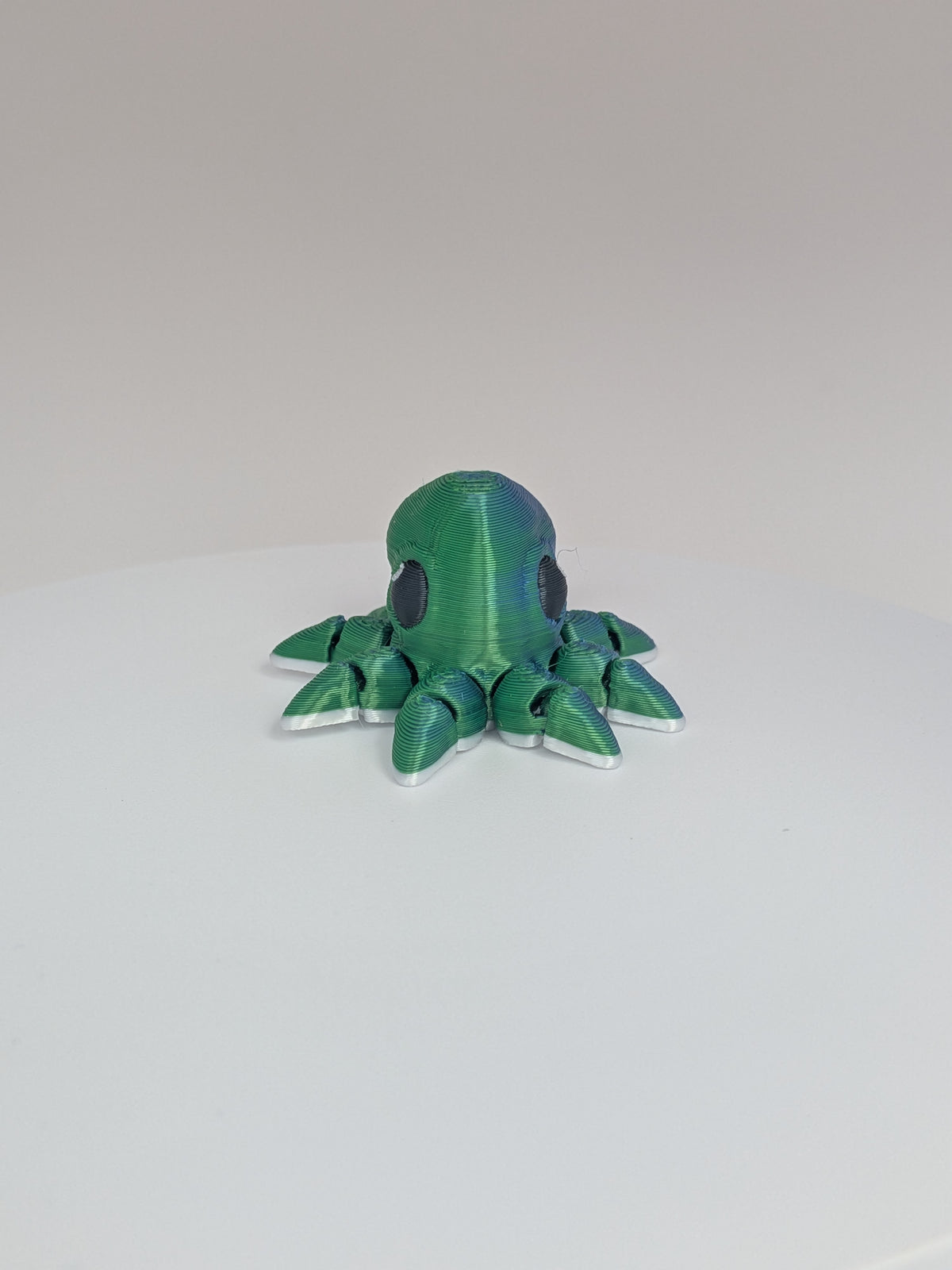 Octopus Hatchling