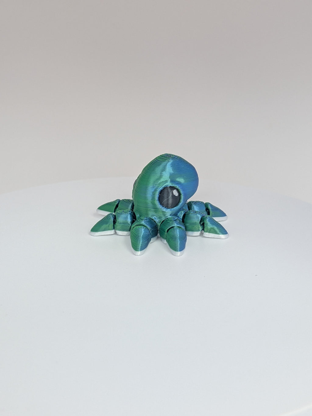 Octopus Hatchling