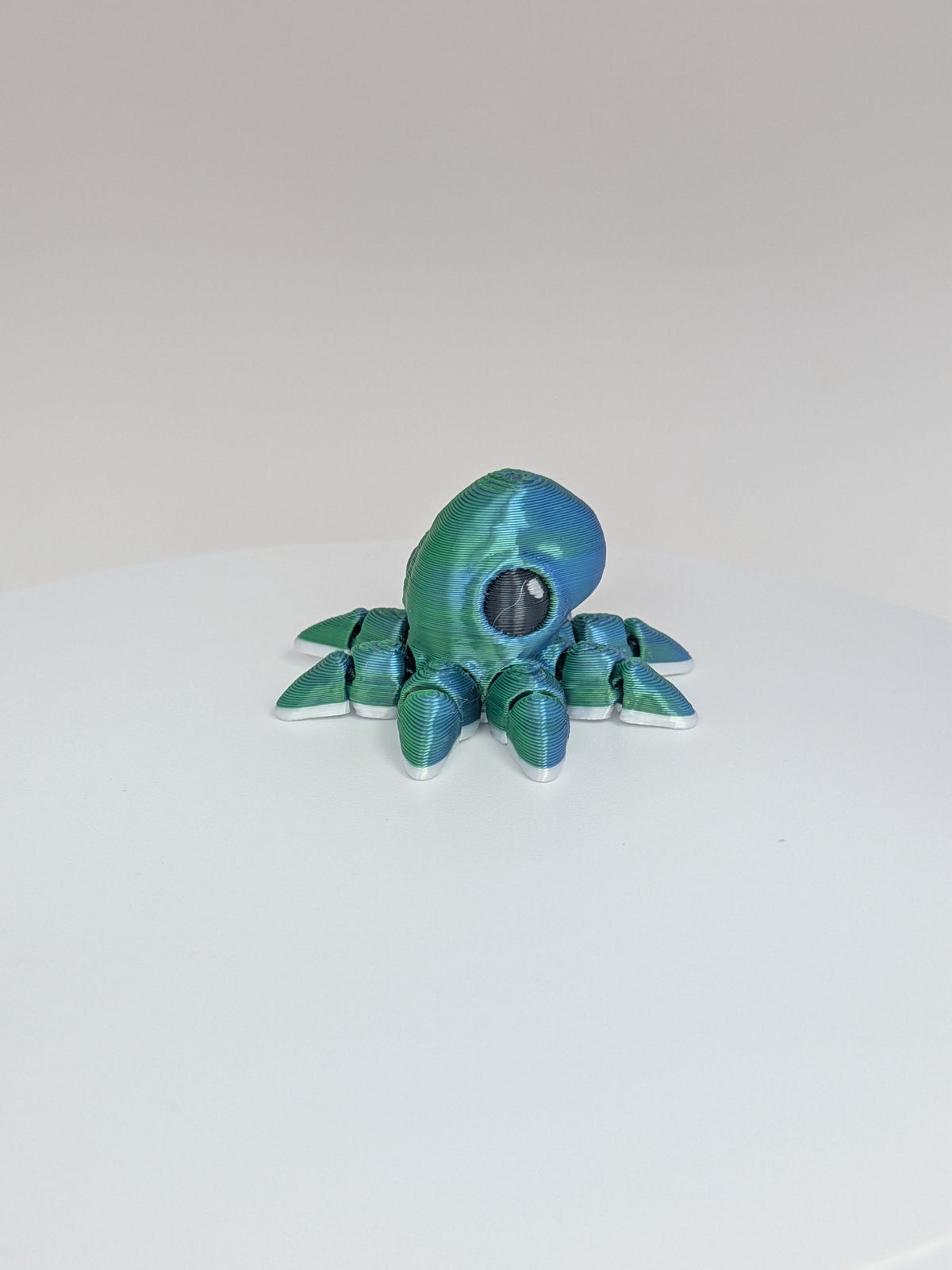 Octopus Hatchling