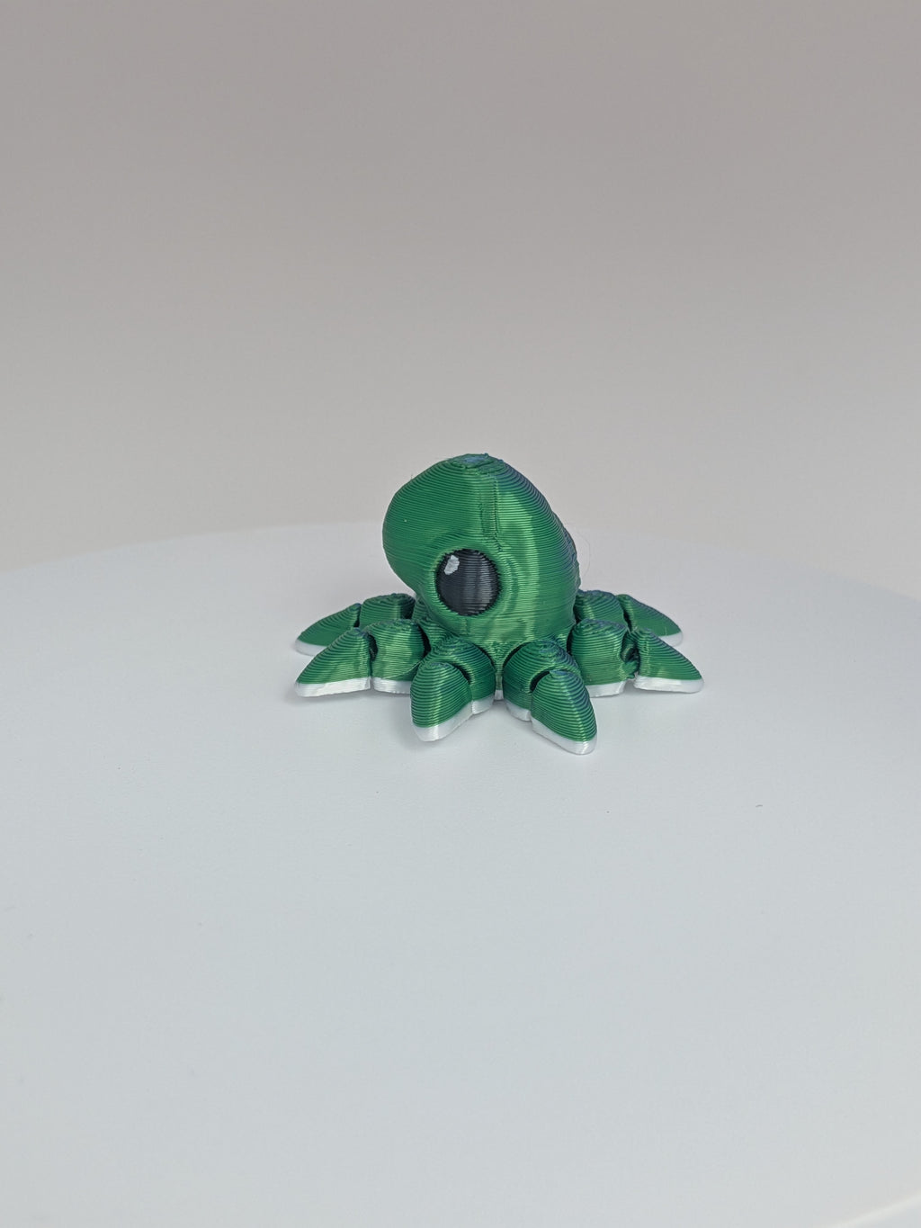 Octopus Hatchling