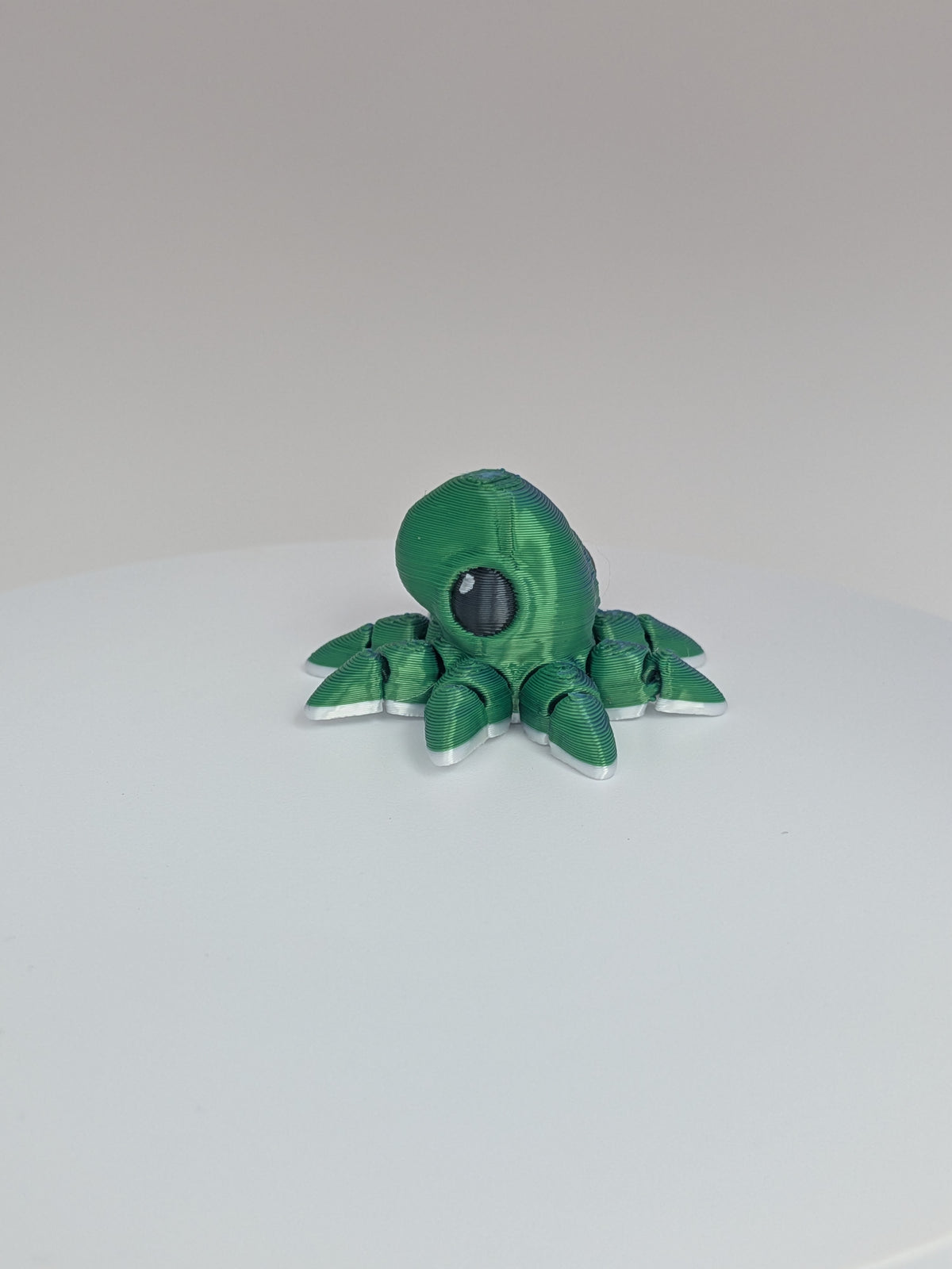 Octopus Hatchling