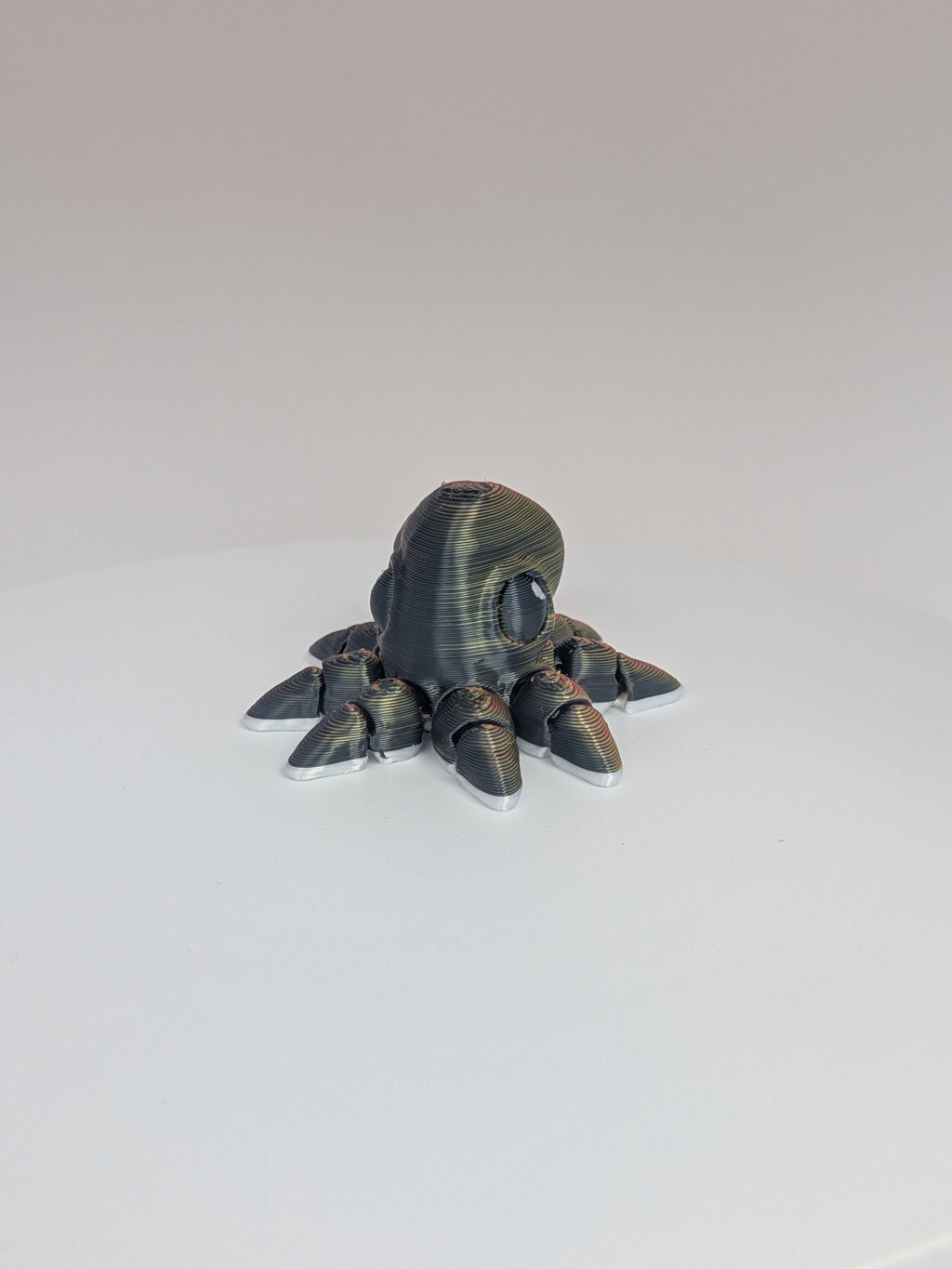 Octopus Hatchling
