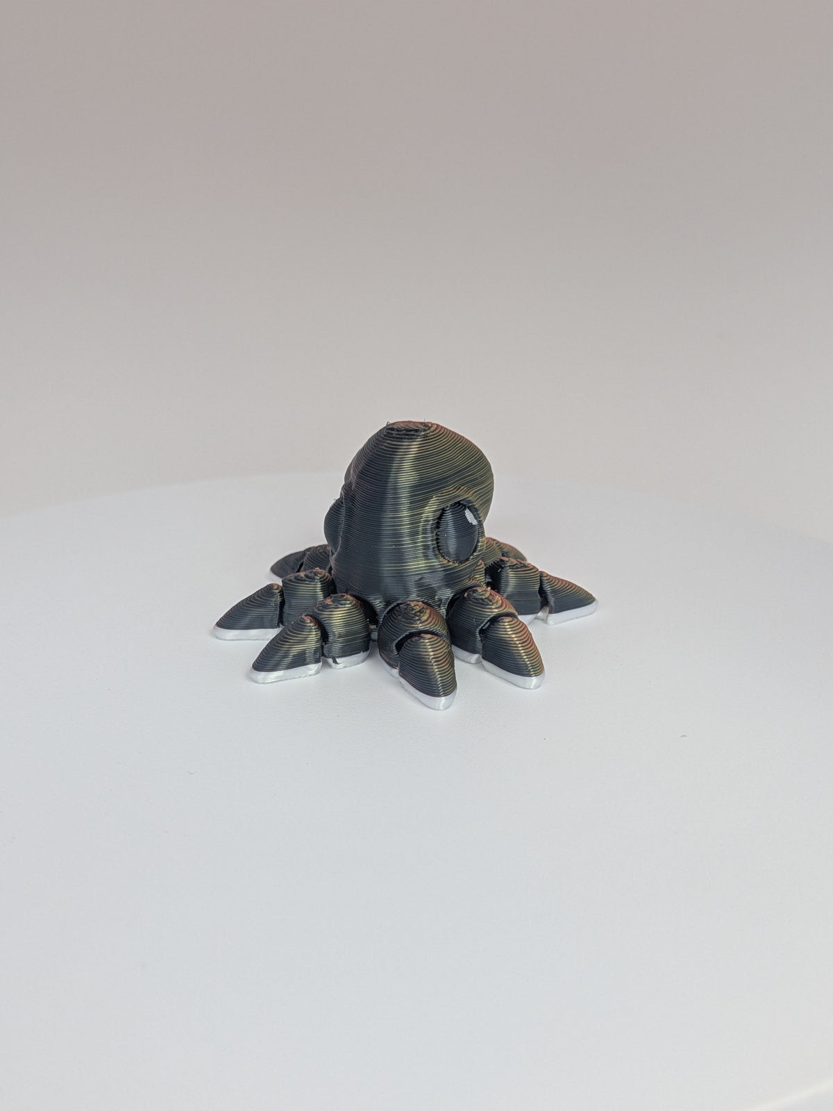 Octopus Hatchling