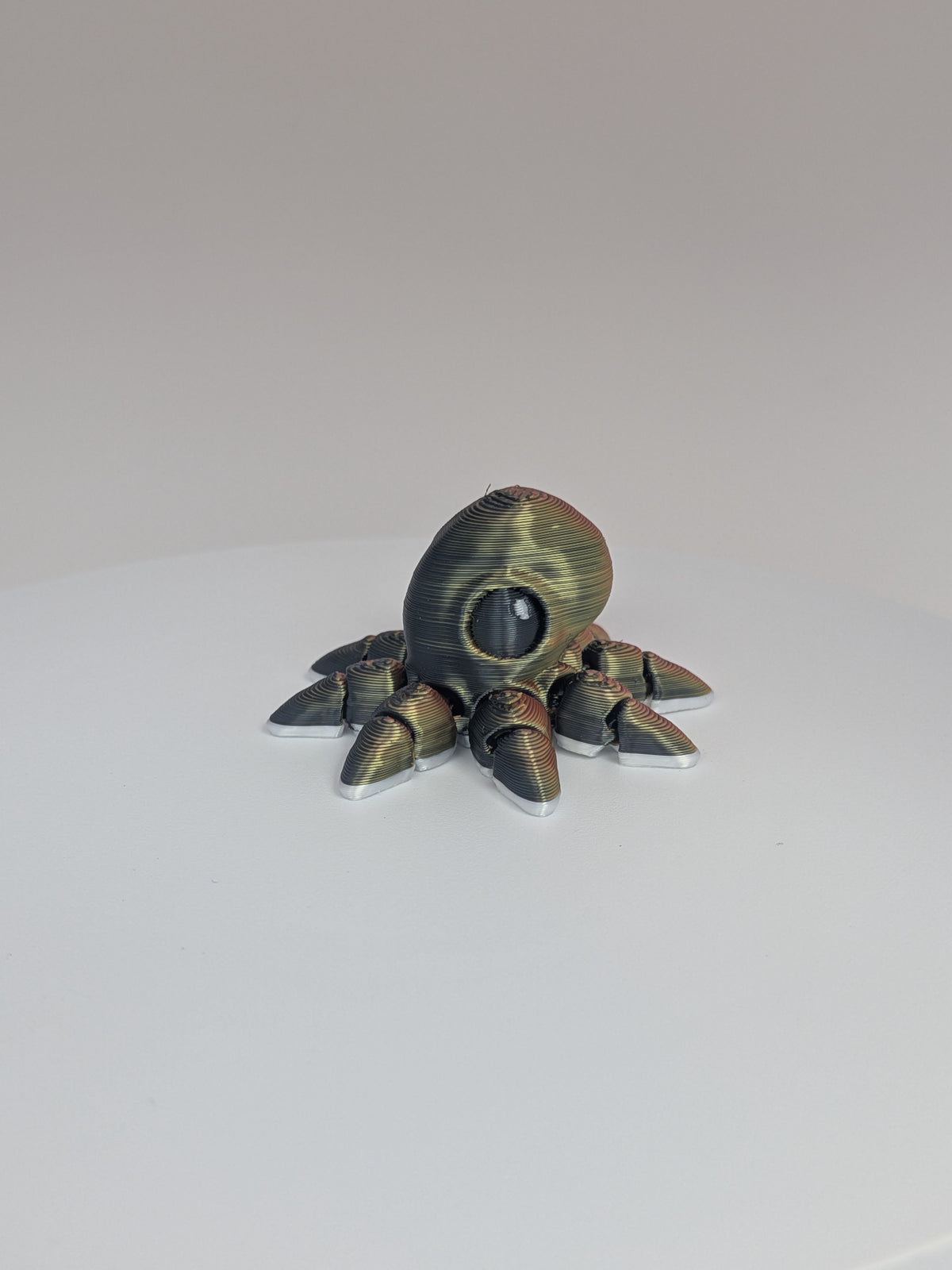 Octopus Hatchling