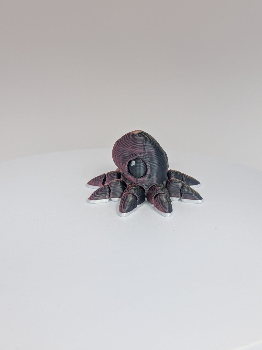 Octopus Hatchling