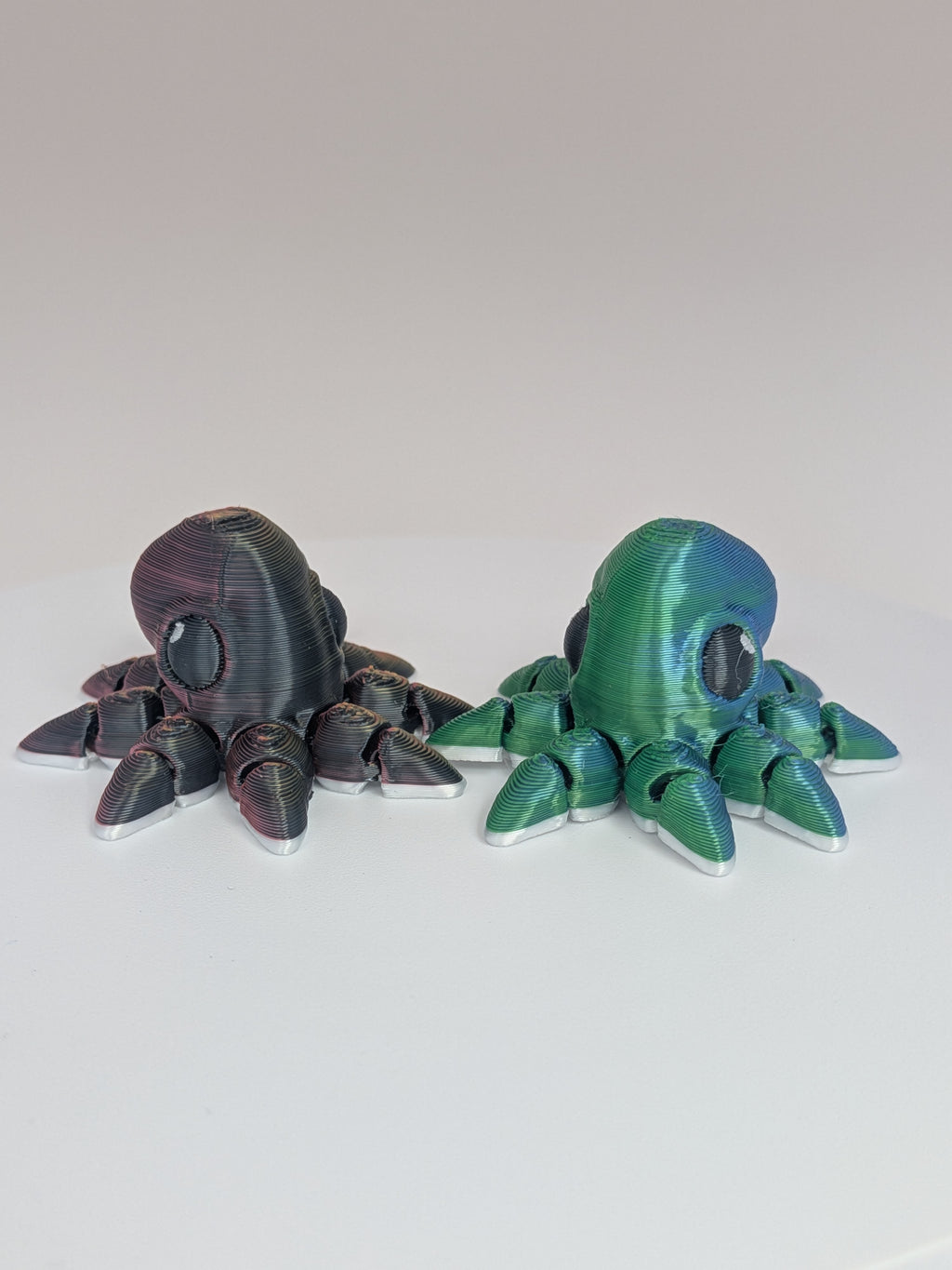Octopus Hatchling