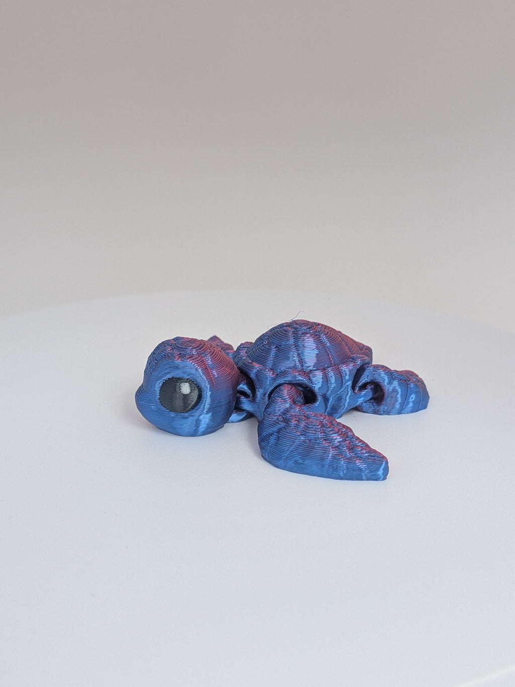 Sea Turtle Hatchling