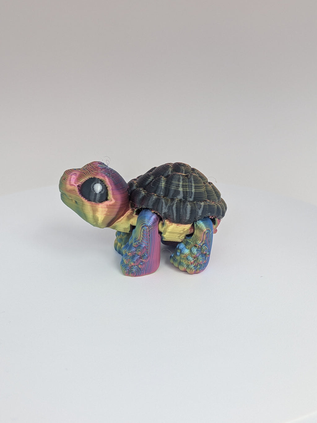 Tortoise Hatchling