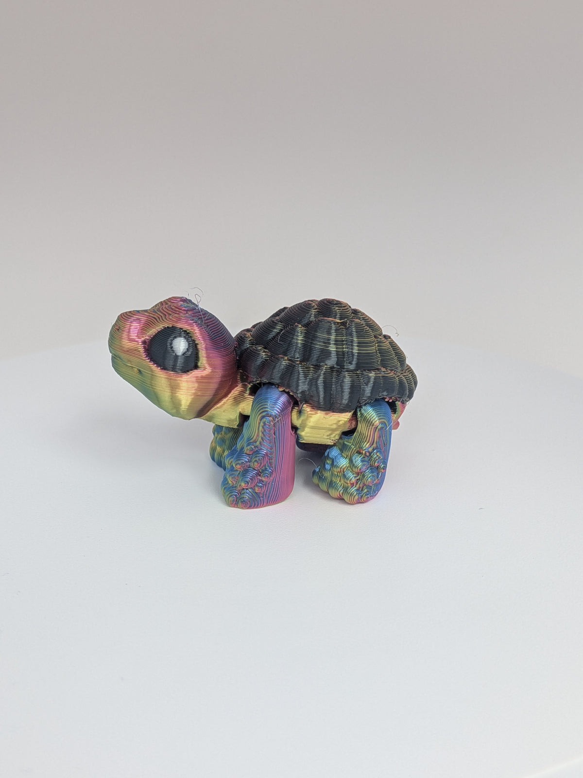 Tortoise Hatchling