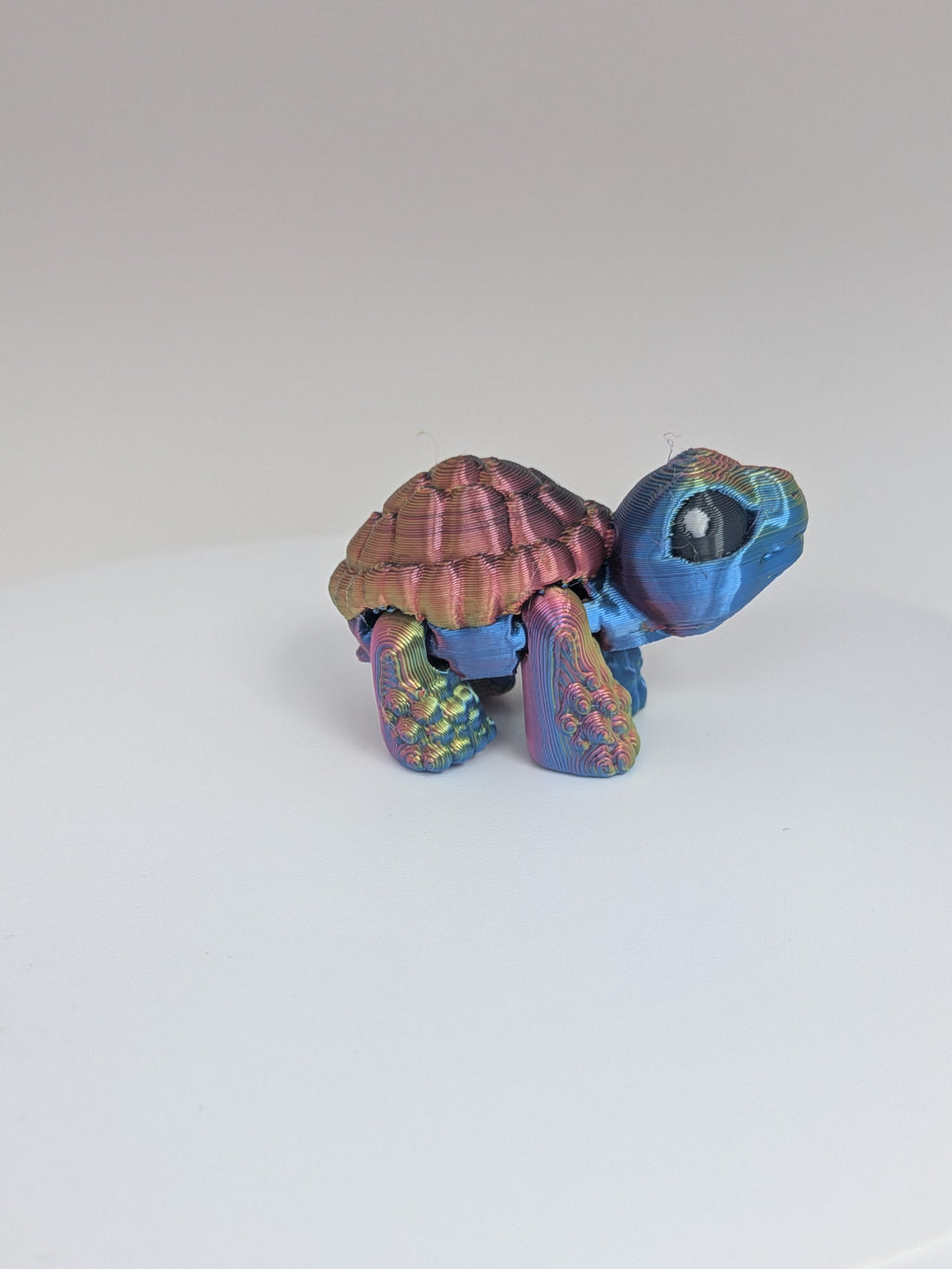 Tortoise Hatchling